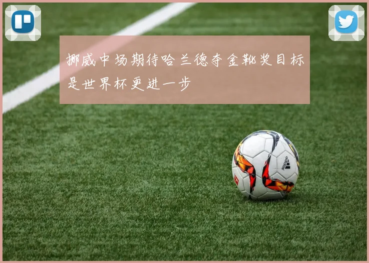 挪威中场期待哈兰德夺金靴奖目标是世界杯更进一步