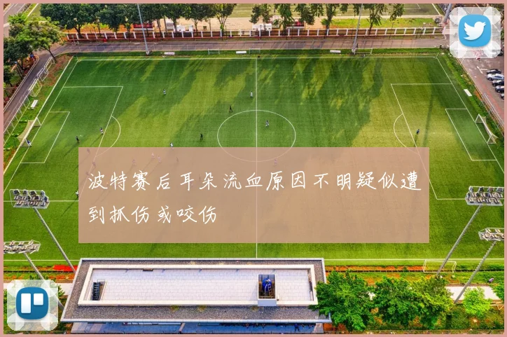 波特赛后耳朵流血原因不明疑似遭到抓伤或咬伤