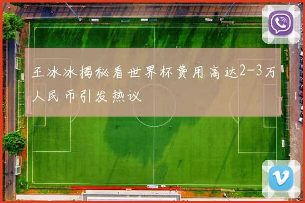 王冰冰揭秘看世界杯费用高达2-3万人民币引发热议